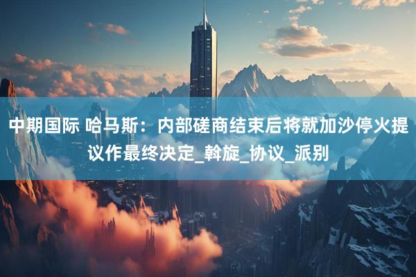 中期国际 哈马斯：内部磋商结束后将就加沙停火提议作最终决定_斡旋_协议_派别