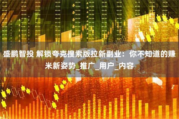 盛鹏智投 解锁夸克搜索版拉新副业：你不知道的赚米新姿势_推广_用户_内容