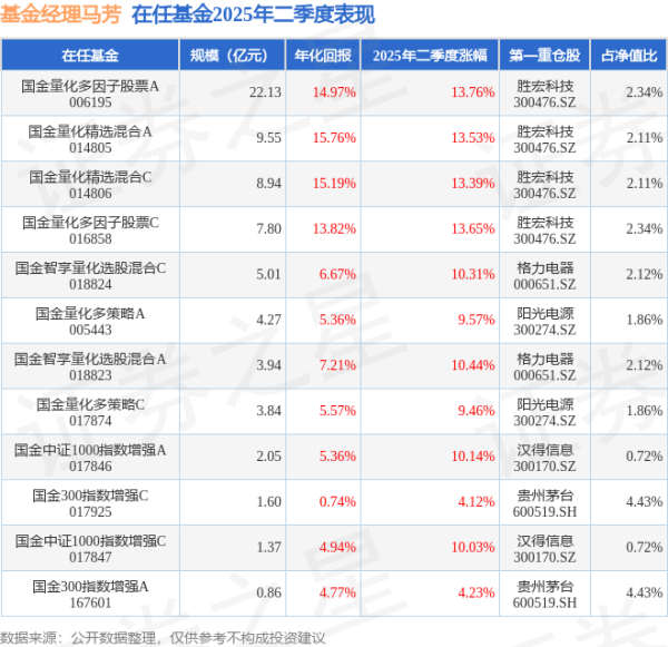 五五策略 马芳2025年二季度表现，国金量化多因子股票A基金季度涨幅13.76%